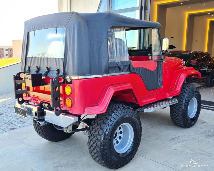 BYD Willys V8